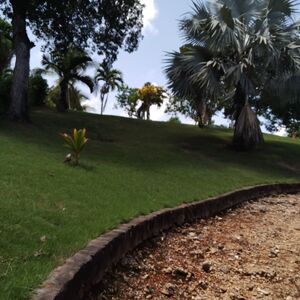 Now Reduced - Stables Lot for Conversion! 