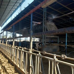 Organic Dairy & Agriculture 