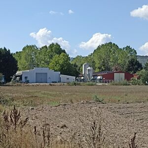 Spanish Countryside Opportunity: 5 Acres of Land and Farms