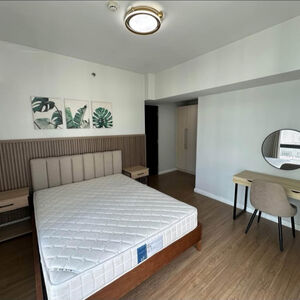 Circuit Makati Solstice 2 Bedroom Rent