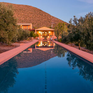 Olives On The River (548)