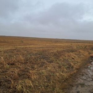 Land for sale Irig-Neradin