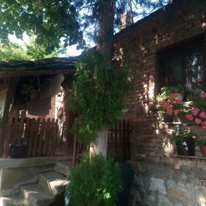 I am selling a family estate in Mala Mostanica-Belgrade
