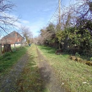 Farm with Farm House Orchards and Outbuildings Land