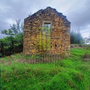 Farm Aveleira with a ruin and a total area of 7,000 m2
