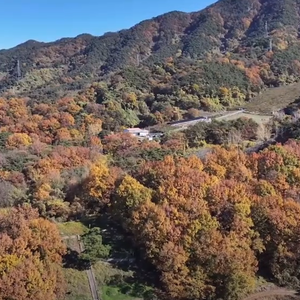 Excellent Plot of land for sale in Boseong-gun South Korea