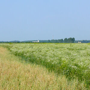 land for warehouse near Bucharest