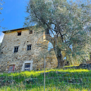 iv1133 Rustic house to renovate – Sasso di Bordighera