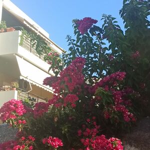 2nd floor flat 6km from ATH airport