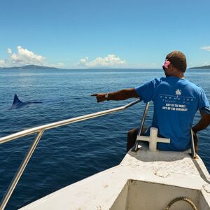 Investment Opportunity - Top Diving Resort in Fiji.