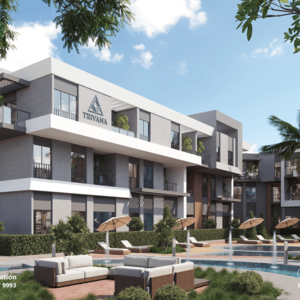 Affordable Luxury Apartment (ORO)