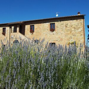 Turn-key Restored Tuscan country house with pool