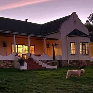 Productive & Beautiful! (616)