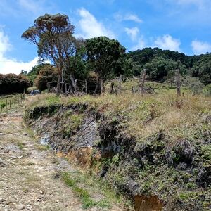 Eco-Retreat Property in Colombia 30 Hectares Natural Spring 