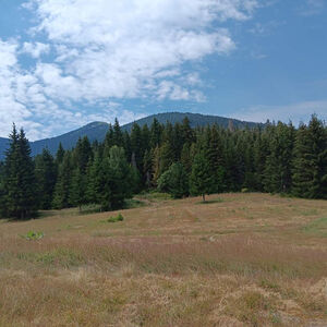 Large plot of land for sale