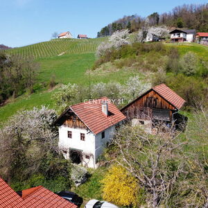 Property with potential in the countryside (Kozjanski Park) 