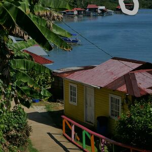 2 title property land and concesion maritime