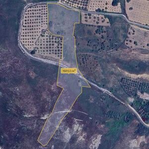 Land in Sicily - Coniglio Cda Manca