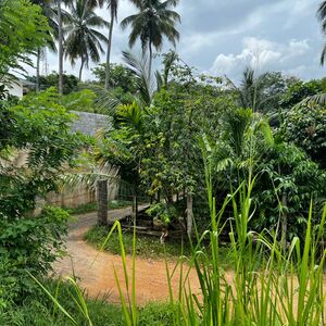 Valuable Semi-Commercial Land for Sale Mawathagama, Kurunega