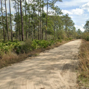 Hurry! 0.22 Acres in Florida for Just $129 - Limited Offer!