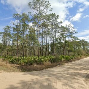 Florida's Hottest Deal of 2025! 0.22 Acres for Just $175