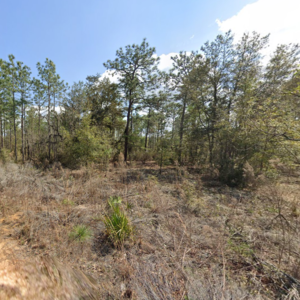 Smartest $125 You'll Ever Spend In FLORIDA Is Right Here