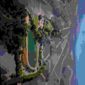 Vineyard in Stellenbosch, South Africa 