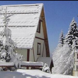I am selling an apartment on Kopaonik