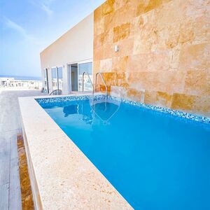 Penthouse with Rooftop Pool