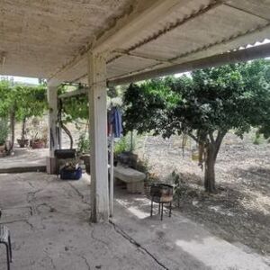 Land in Sicily - Triolo Alessandria