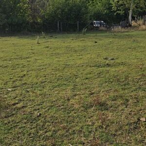 Building plot for sale - Kosmaj