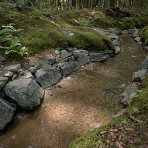 This isn’t Disney, AI was not used in creating this video! 