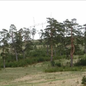 Zlatiborski Ducat - land, investment - Čigota