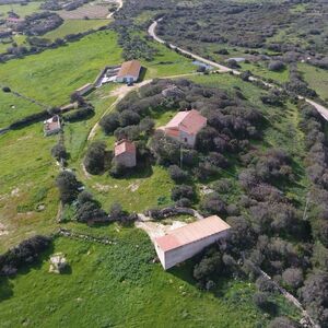 Agricultural Estate in Gallura, Sardinia