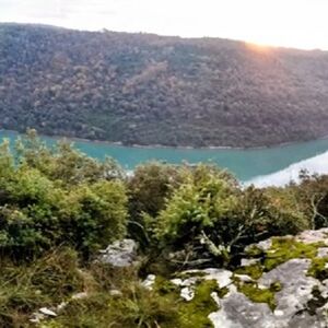 Sveti Lovreč, a 3ha forest with a view of the sea in Istria