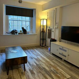 1 bathroom with a shower and a hair dryer.