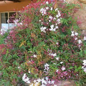 For The Farmer At Heart (634)