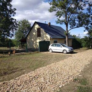 House on a dead yew tree in Becej