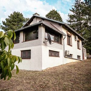 House and large plot in Popovica-Sremska Kamenica