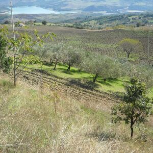 Agricultural land suitable for building with lake view -AG60