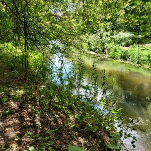 A unique opportunity: Stone River 1.28 ha JURA PARK