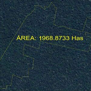 1900 has Forest land in the heart of the jungle - Loreto