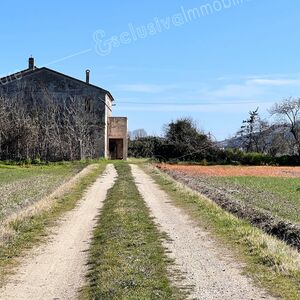 Casale Storico da ristrutturare a Castelfidardo!