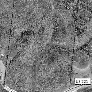 WESTERN NORTH CAROLINA TIMBERLAND. 