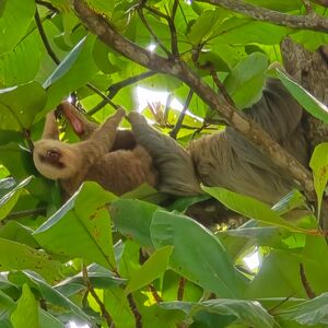 Riverside Haven: Versatile Coastal Retreat in Dominical CR