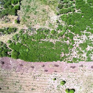 Vacant Virgin Land in the Caribbean