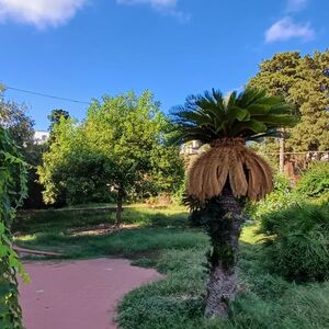VILLA INDIPENDENTE PANORAMICA CON AMPIO GIARDINO E BOX AUTO
