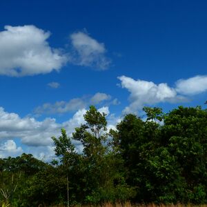 700 hectares of Peruvian rainforest – title deed available