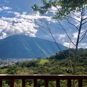 For Sale: 1996 m2 - Hotel in the central jungle of Peru.