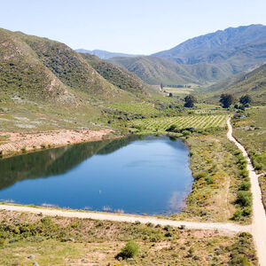 20% Shares of Hidden Treasure (609.1)